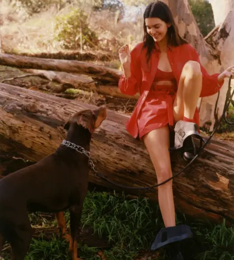 Image 1967950 from Kendall Jenner