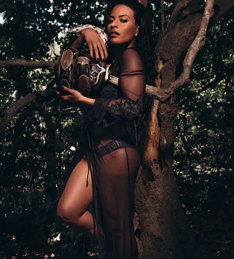 Image 19693827 from Zelina Vega // Thea Trinidad