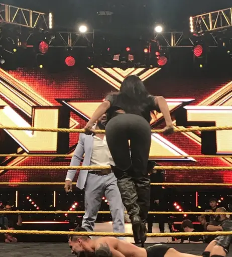Image 19693769 from Zelina Vega // Thea Trinidad