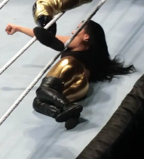 Image 19693742 from Zelina Vega // Thea Trinidad