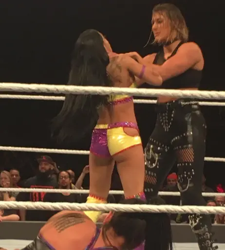 Image 19687996 from Zelina Vega // Thea Trinidad