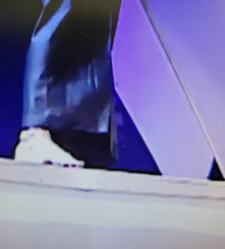 Image 19681154 from WWE Trish Stratus