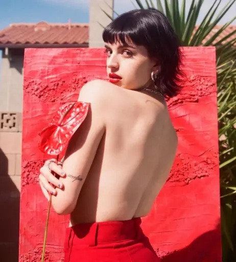 Image 1955462 from Rebecca Black