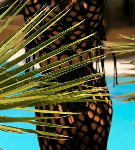 Image 1956517 from Sabrina Salerno