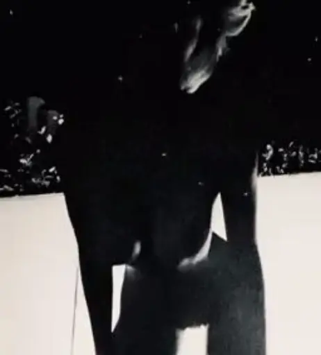 Image 1953540 from Brittany Furlan