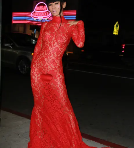 Image 1959965 from Bai Ling