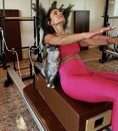 Image 1946612 from Jordana Brewster