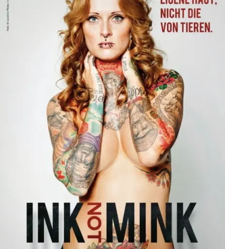 Image 1947898 from Jennifer Weist