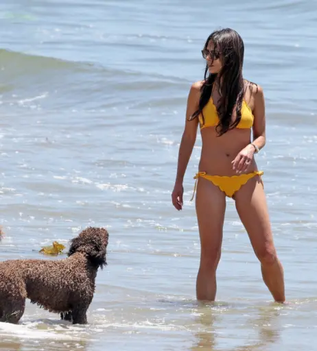 Image 1941537 from Jordana Brewster
