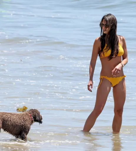 Image 1941414 from Jordana Brewster