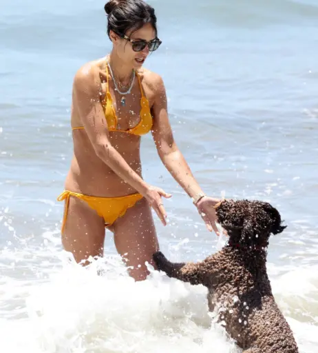 Image 1941086 from Jordana Brewster