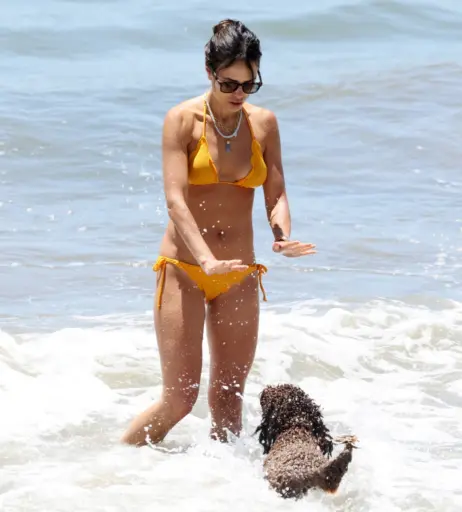 Image 1941025 from Jordana Brewster