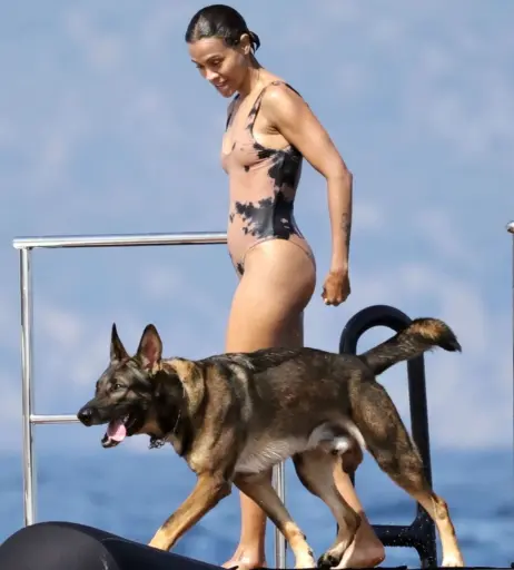 Image 1942489 from Zoe Saldana