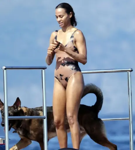 Image 1942431 from Zoe Saldana