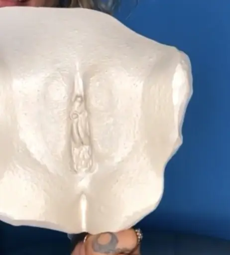 Image 1949766 from Jennifer Weist