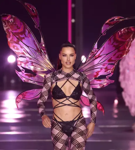 Image 1935355 from Adriana Lima