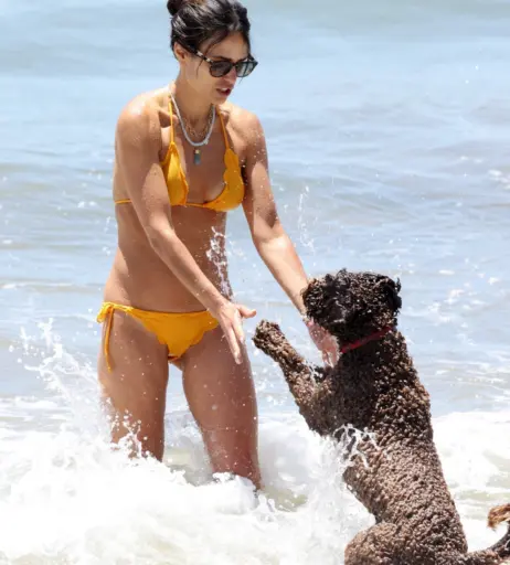 Image 1939757 from Jordana Brewster