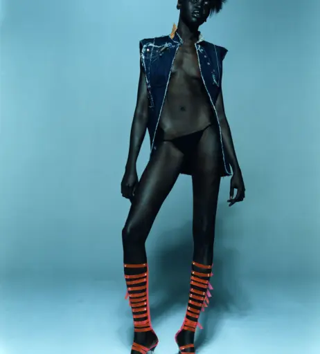 Image 1927678 from Alek Wek