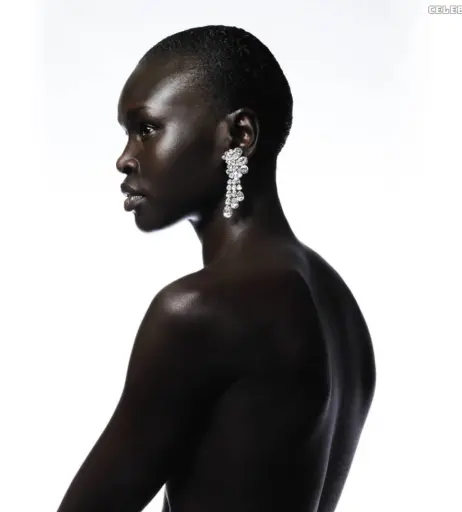 Image 1929650 from Alek Wek