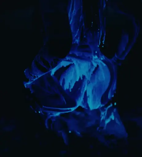 Image 1929924 from SZA