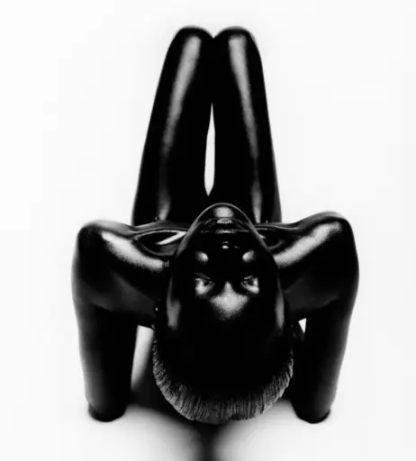 Image 1928874 from Alek Wek