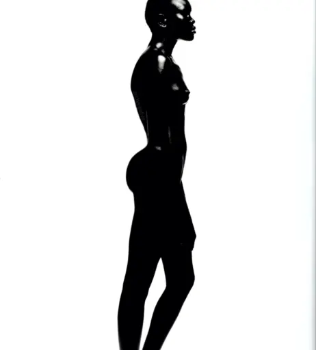 Image 1928636 from Alek Wek