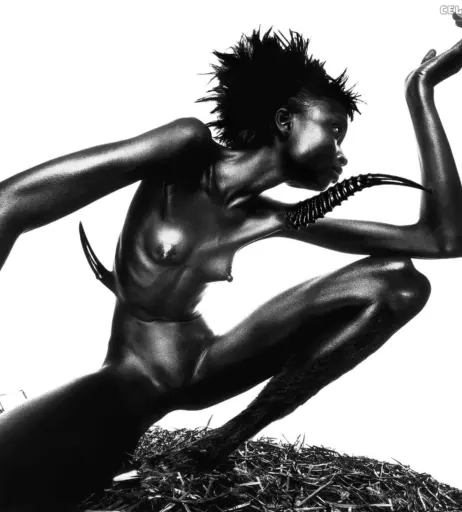 Image 1928168 from Alek Wek