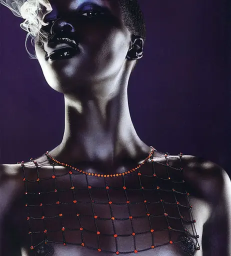 Image 1928132 from Alek Wek