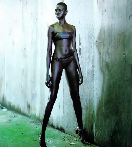 Image 1928072 from Alek Wek