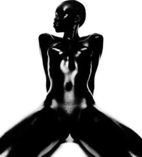 Image 1928365 from Alek Wek
