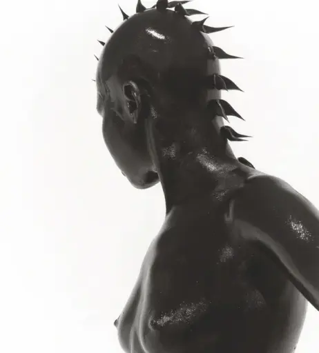 Image 1928987 from Alek Wek