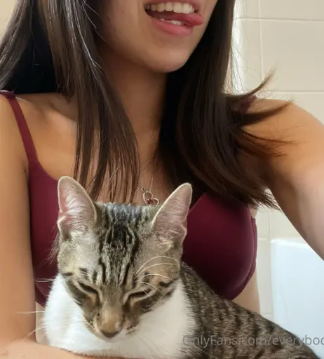 Image 14655346 from everybodymeow