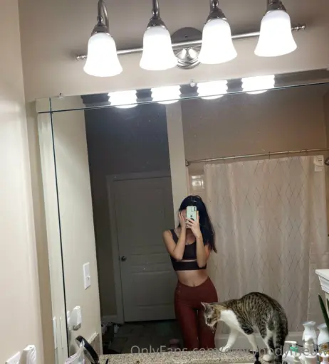 Image 14653603 from everybodymeow