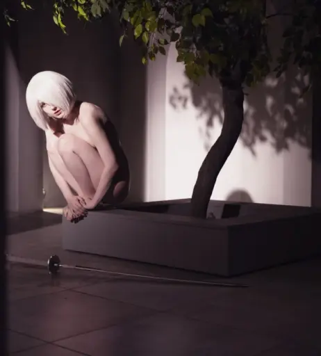 Image 146742 from Mik Allen