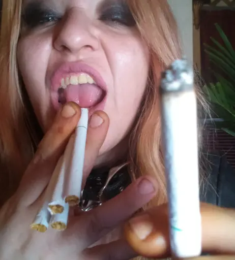 Image 14683780 from extremesmokingqueen