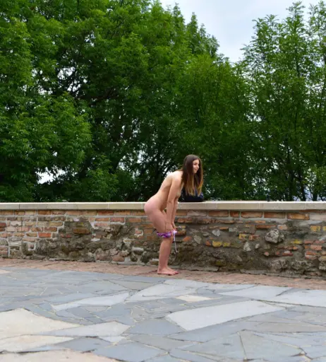 Image 1417529 from Stella Cox