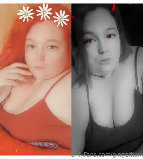 Image 15240918 from gingerharlott