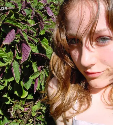 Image 1520124 from Abbywinters