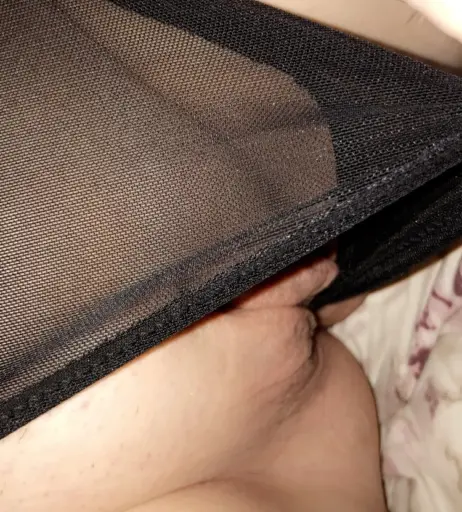 Image 152934 from Saffron Leigh