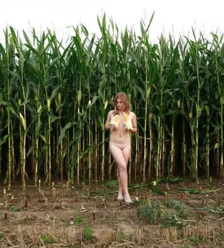 Image 1635923 from Dairy lena