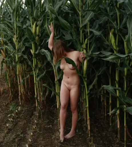 Image 1637871 from Dairy lena