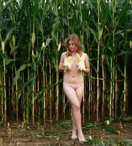 Image 1637602 from Dairy lena