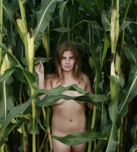 Image 1633750 from Dairy lena