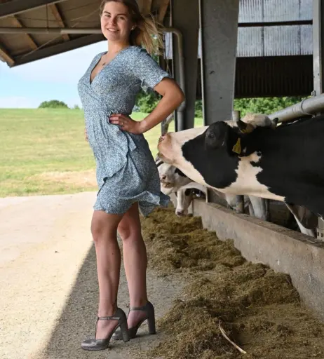 Image 1622563 from Dairy lena