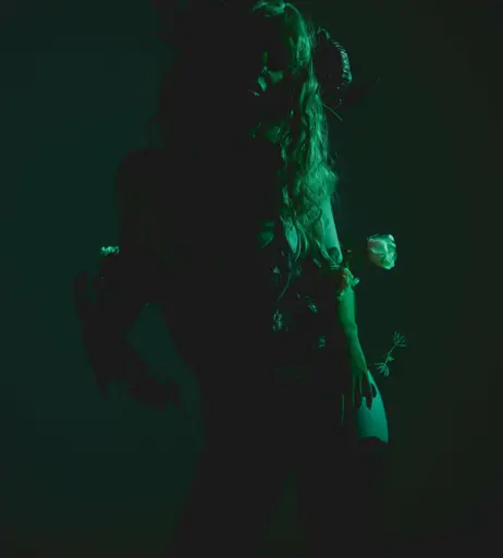 Image 1787959 from fallcos1