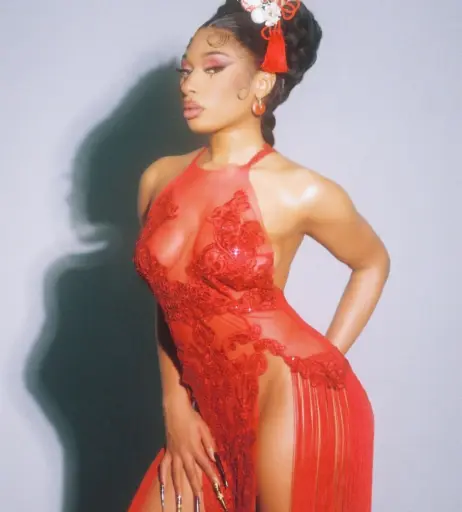 Image 1771895 from Megan thee stallion