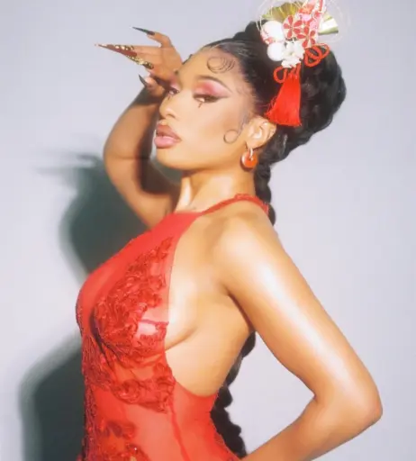 Image 1771885 from Megan thee stallion