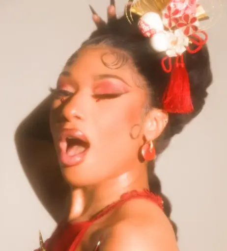 Image 1771877 from Megan thee stallion