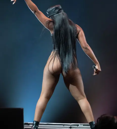 Image 1771561 from Megan thee stallion