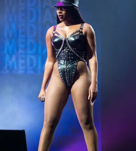 Image 1771534 from Megan thee stallion